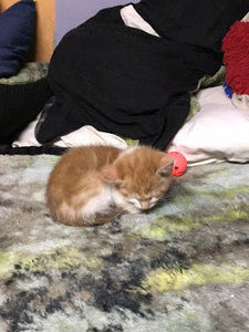 Meet your Posher, Hi